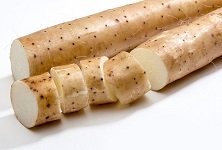 wild yam