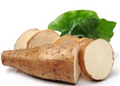 wild yam