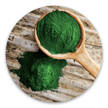 spirulina powder