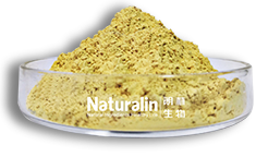 Ginseng Extract