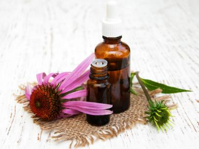 Echinacea Extract