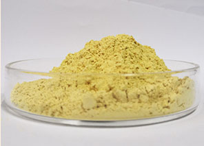 6% Ginsenosides Powder 6% Ginsenosides Powder