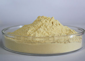20%Ginsenosides Powder 20%Ginsenosides Powder