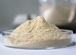 Ginsenosides Straight Powder Ginsenosides Straight Powder